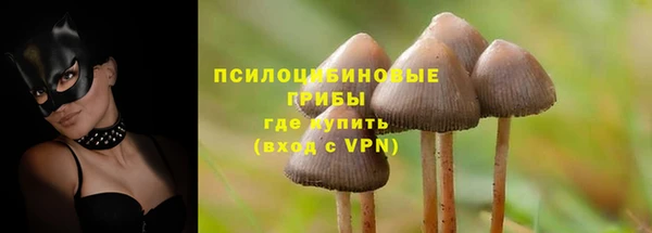 PSILOCYBIN Бугульма